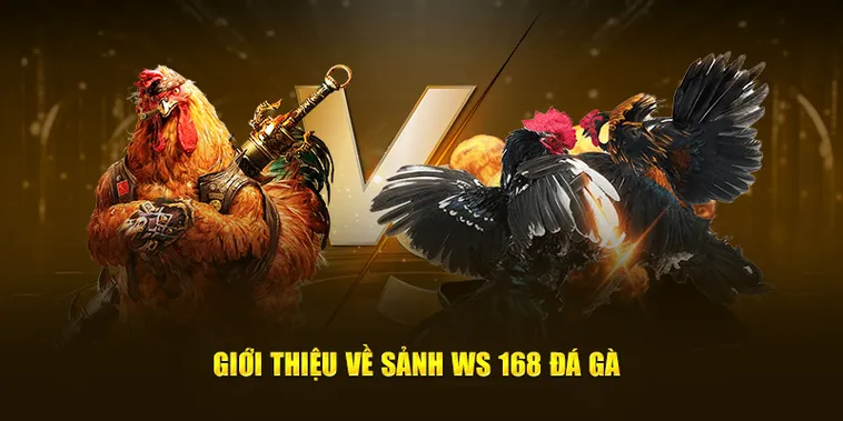Hướng Dẫn Chơi Đá Gà WS168 Tại 88FC Thắng Lớn Mỗi Ngày